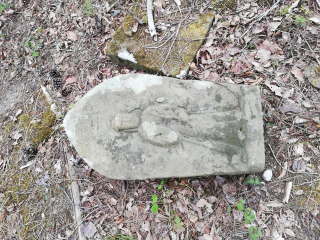 画像に含まれている可能性があるもの:木、屋外